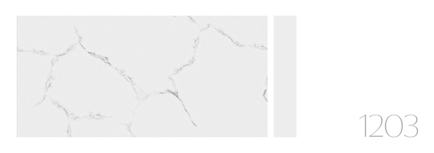 VINCI  CARMEL 24X48 WHITE CARRARA POLISH